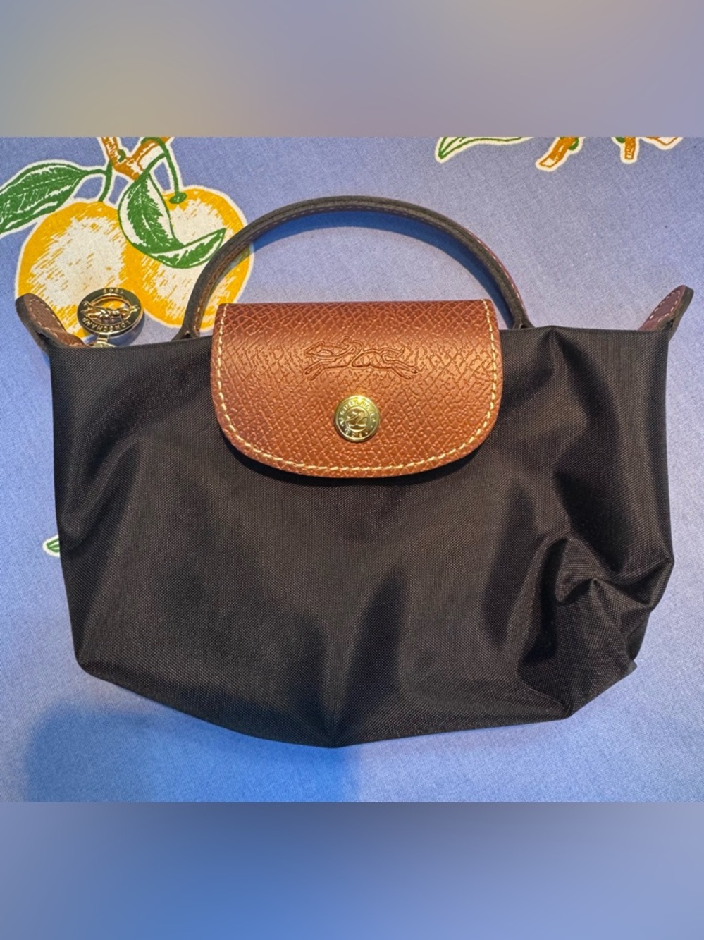 Longchamp Mini Le Pliage Pouch
